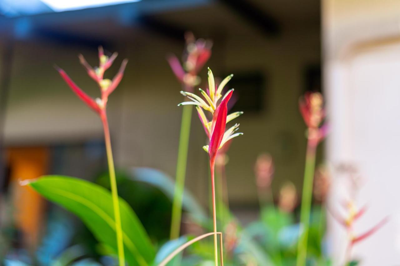 Noahs Hideaway Luxury B&B Lahaina Exterior foto