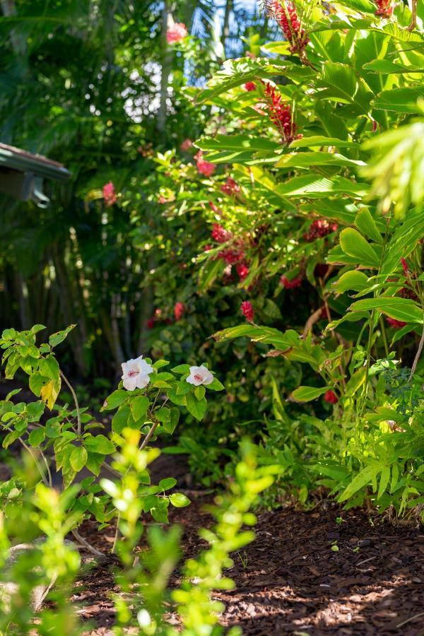 Noahs Hideaway Luxury B&B Lahaina Exterior foto